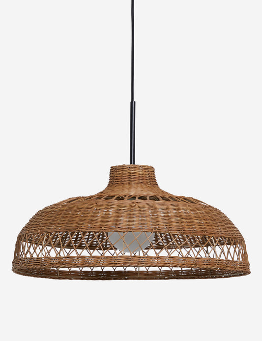 Ochoa Pendant Light product view 2