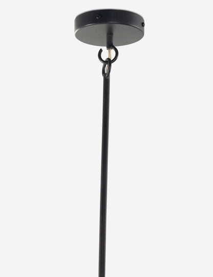 Ashwin Pendant Light product view 5