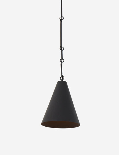 Ashwin Pendant Light product view 14