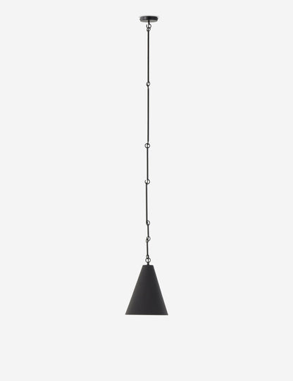 Ashwin Pendant Light product view 12