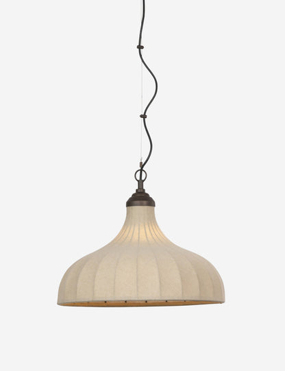 Maisano Pendant Light product view 2