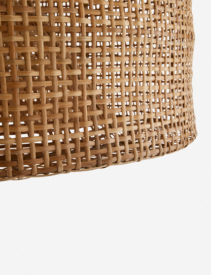 Nev Pendant Light product view 4