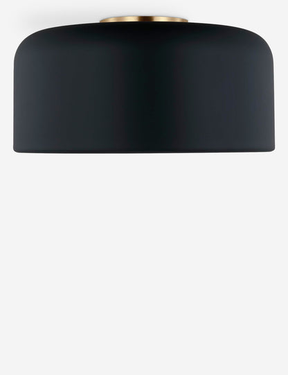 Olaf Flush Mount Light product view 24
