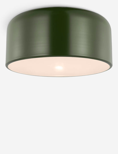 Olaf Flush Mount Light product view 43
