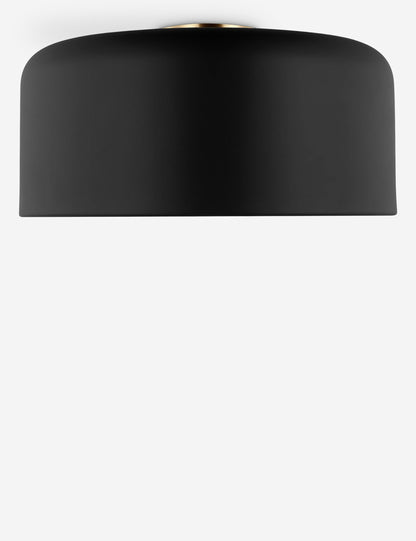 Olaf Flush Mount Light product view 48