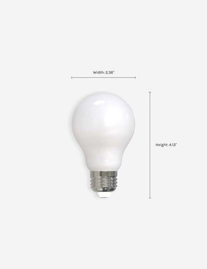 A19 LED Filament Bulb (Set of 4) product view 6
