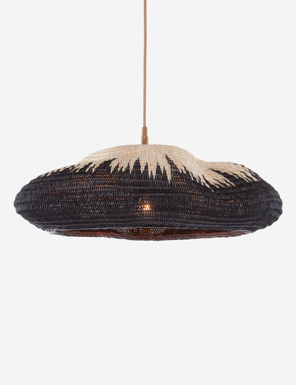 Zikri Pendant Light product view 2