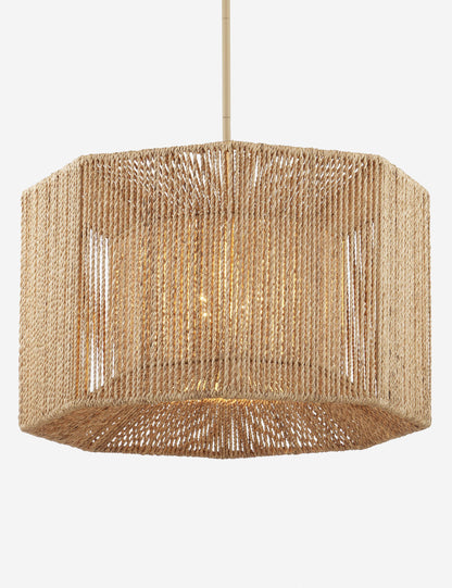 Bartlett Chandelier product view 2