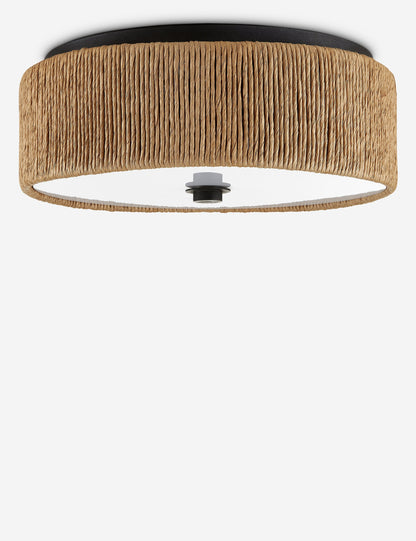 Addis Flush Mount product view 3