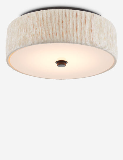 Addis Flush Mount product view 4