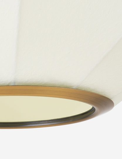 Arden Pendant Light product view 4