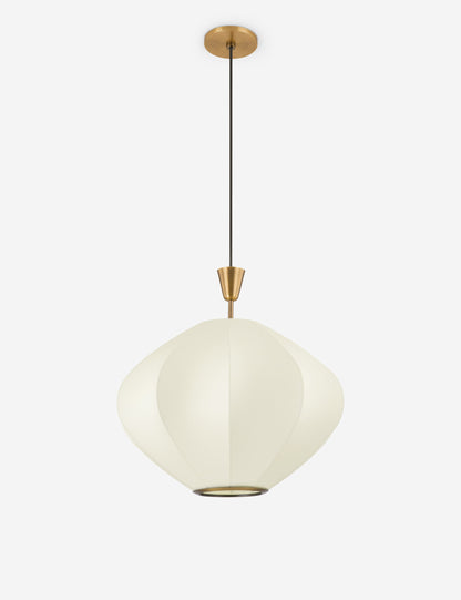 Arden Pendant Light product view 2