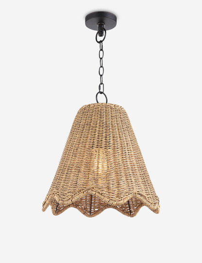 Summer Outdoor Pendant Light product view 2