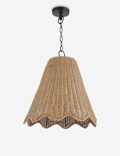 Summer Outdoor Pendant Light product view 5