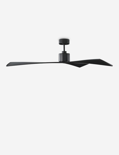 Renzo Ceiling Fan product view 20