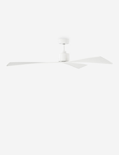 Renzo Ceiling Fan product view 28