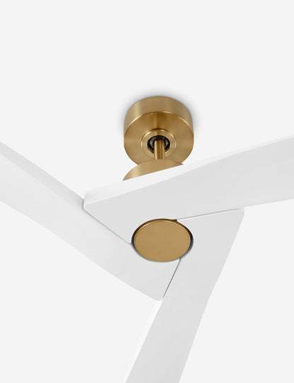 Vesa Ceiling Fan product view 8