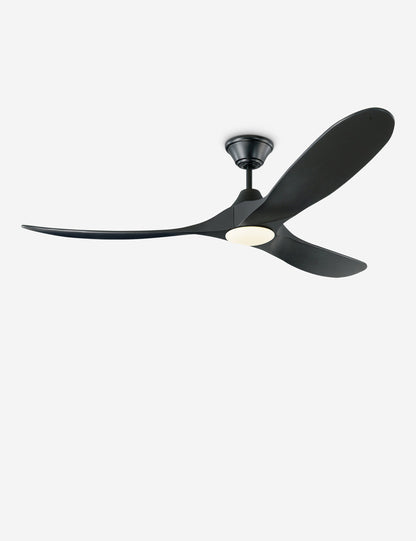 Delos Ceiling Fan product view 4