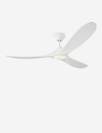 Delos Ceiling Fan product view 18