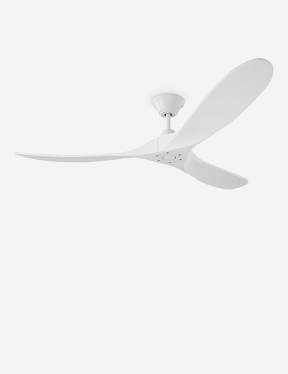 Delos Ceiling Fan product view 32