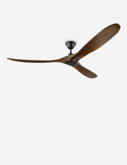 Delos Ceiling Fan product view 37