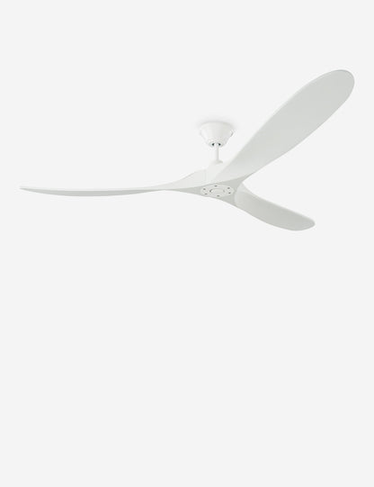 Delos Ceiling Fan product view 38