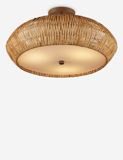 Katriel Semi-Flush Mount Light product view 7