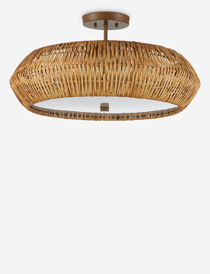 Katriel Semi-Flush Mount Light product view 5