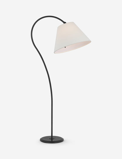 Dume Floor Lamp product view 12
