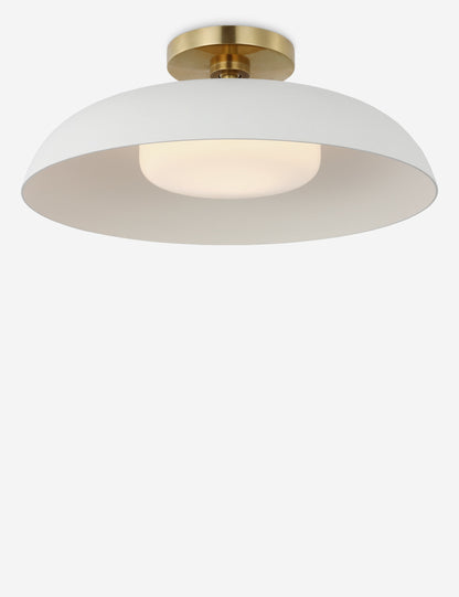 Cyrus Flush Mount Light product view 3