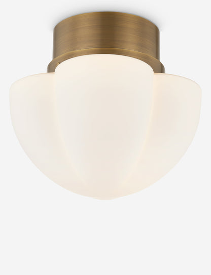 Lupino Flush Mount Light product view 3