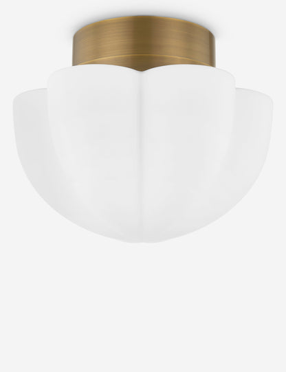 Lupino Flush Mount Light product view 4