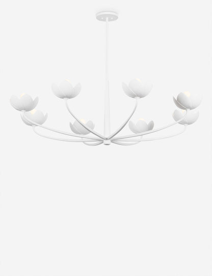 Mishal Chandelier product view 5