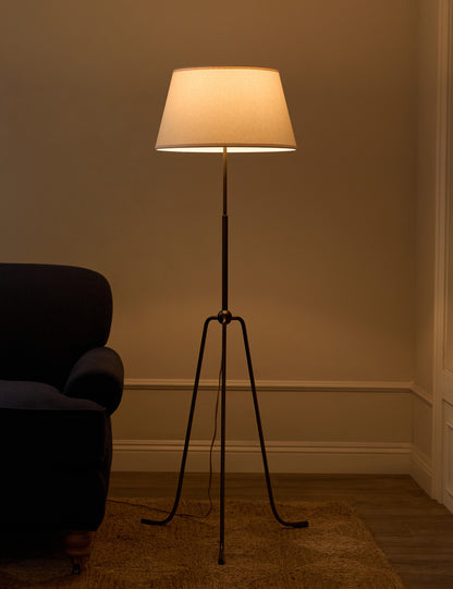 Francis Floor Lamp aged brass finish product view 3