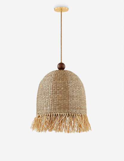 Bacri Pendant Light product view 2