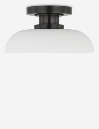 Cyrus Flush Mount Light product view 17