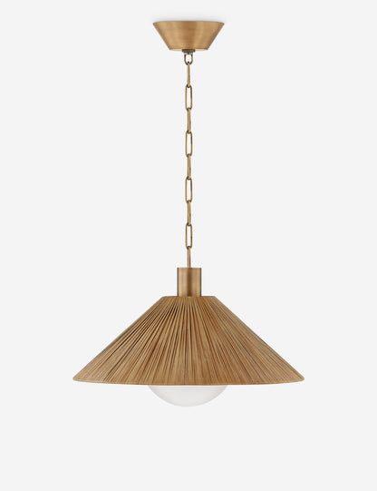 Atia Pendant Light product view 2