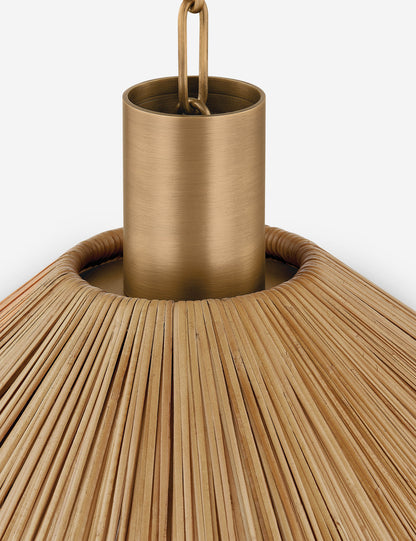 Atia Pendant Light product view 9