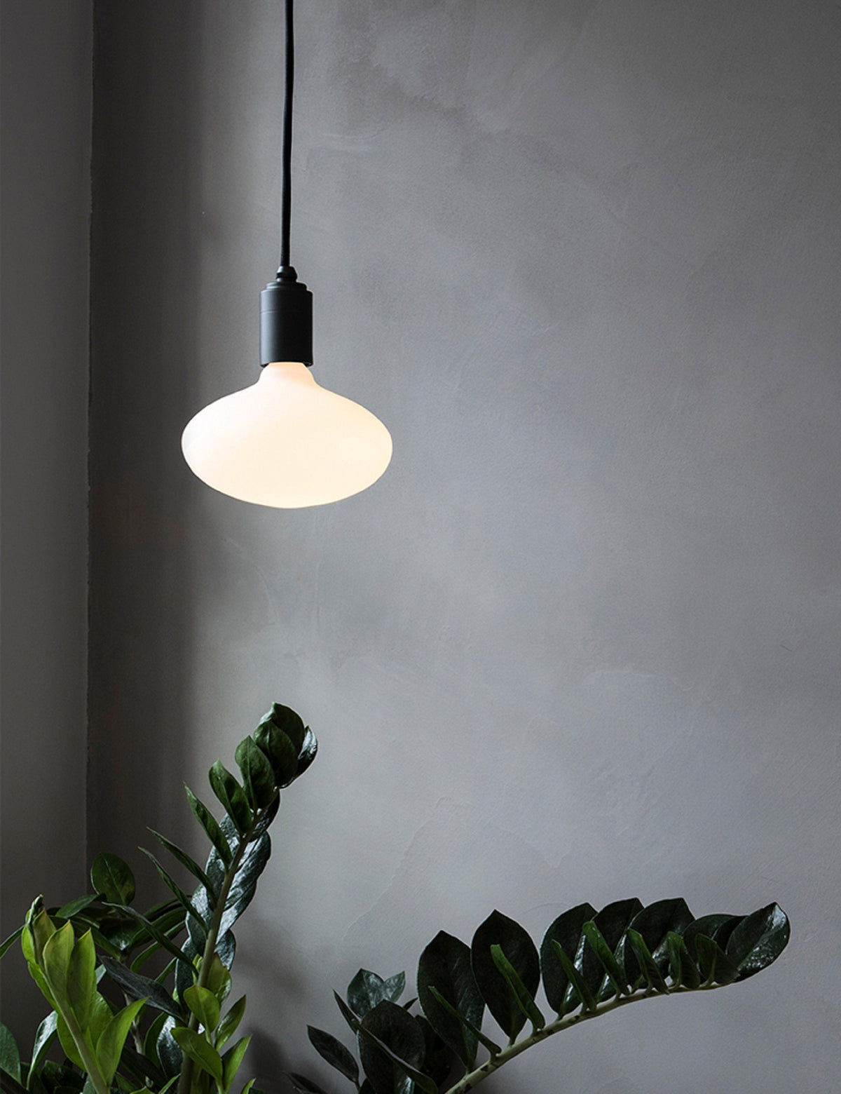 Oval 6W LED Bulb led light bulb front view