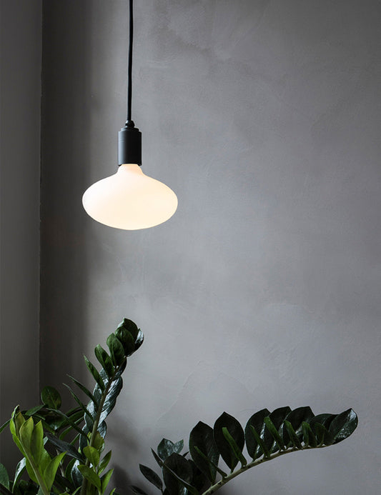 Oval 6W LED Bulb led light bulb front view