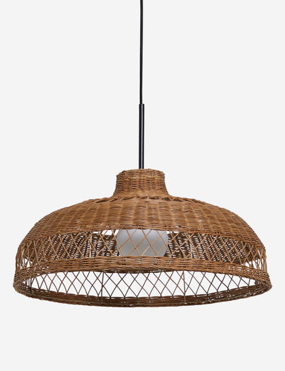 Ochoa Pendant Light product view 3