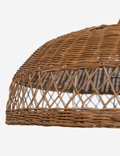 Ochoa Pendant Light product view 5