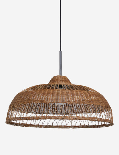 Ochoa Pendant Light product view 7