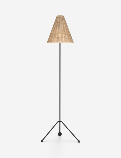 Appling Floor Lamp living room floor lamp front view