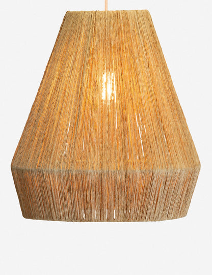 Tarek Pendant Light product view 2