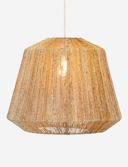 Walid Pendant Light product view 2
