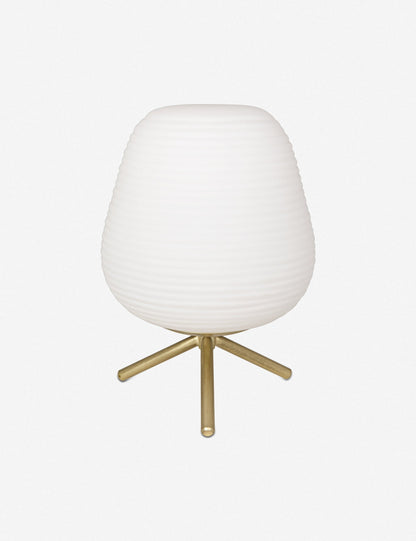 Ina Mini Desk Table Lamp product view 2