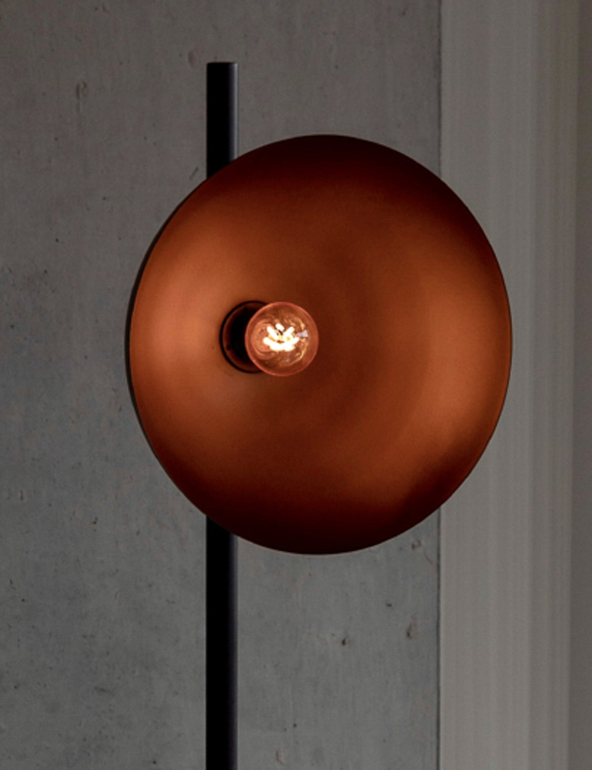 Pluto 3W LED Bulb styled in a room