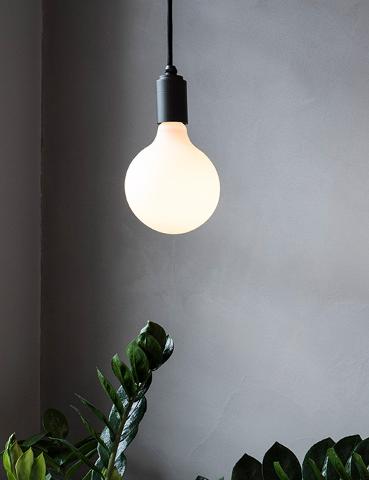 Porcelain III 6W LED Bulb (Set of 2) led light bulb in a styled room