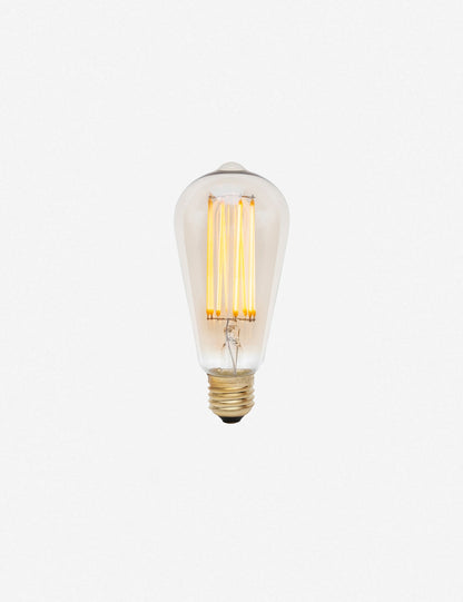 Squirrel Cage 3W LED Bulb (Set of 2) led light bulb front view